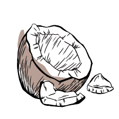 Noix de coco